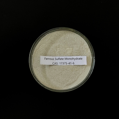 Ferrous Sulfate Monohydrate 91% Light Grey Powder FeSO4 H2O