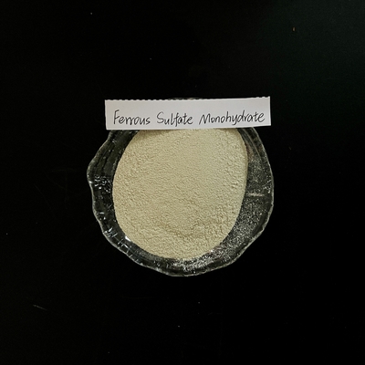 Ferrous Sulfate Monohydrate 91% Light Grey Powder FeSO4
