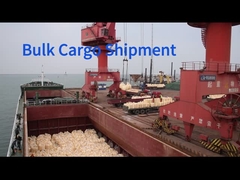 JIUCHONG Bulk Cargo