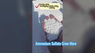 Boost Yields with Ammonium Sulfate Fertilizer